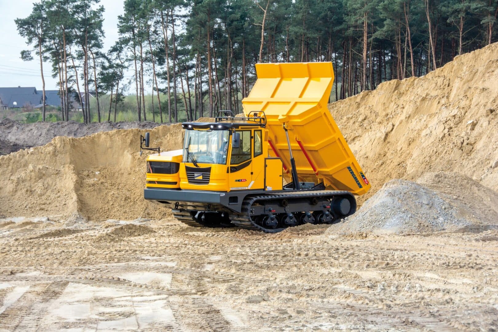 Bergmann 912