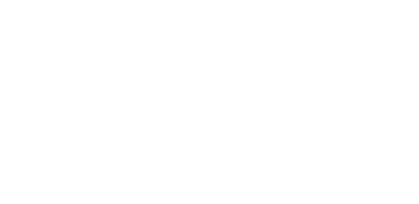 Bergmann White Logo
